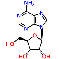 Adenosine